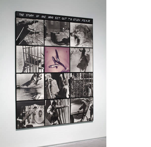 BALDESSARI The story