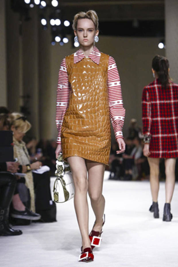 Miu Miu RTW Fall Winter 2015 Paris