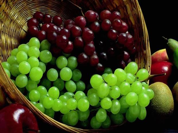 healthy-food-uva
