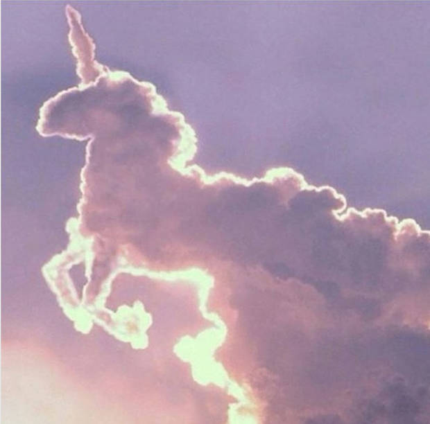 Unicorn Beauty unicornio - vanidad - 1