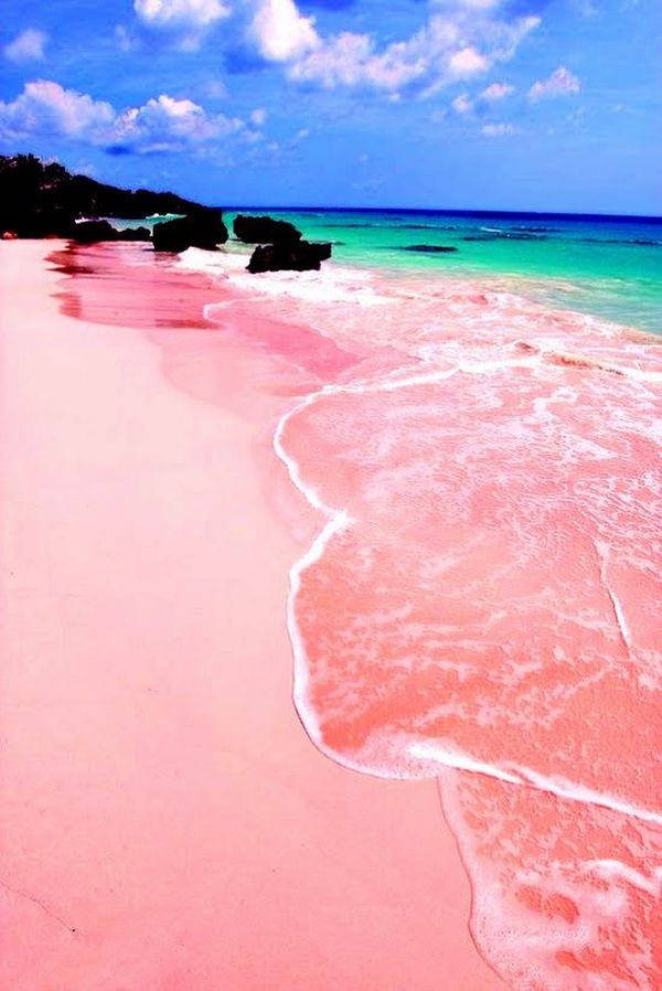 playa rosa bahamas