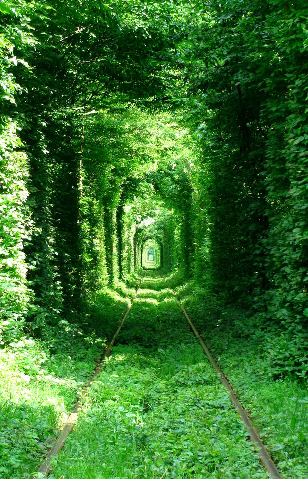 lugares curiosos Túnel del amor en Ucrania