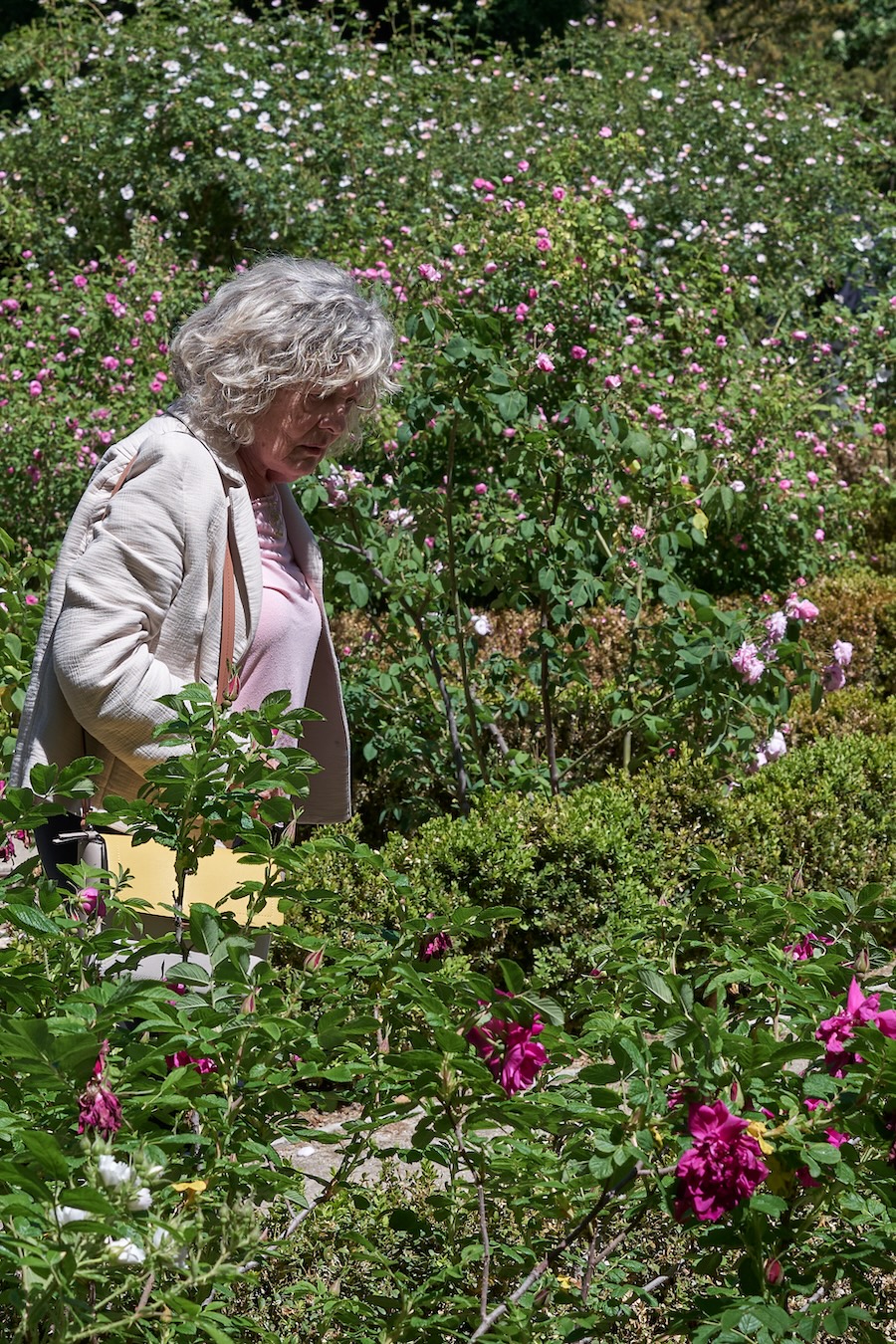 Disfruta del encuentro entre Chanel y El Real Jardín Botánico