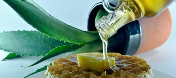 azucar-blanco-enemigo-alimentacion_agave 2 - vanidad - 6