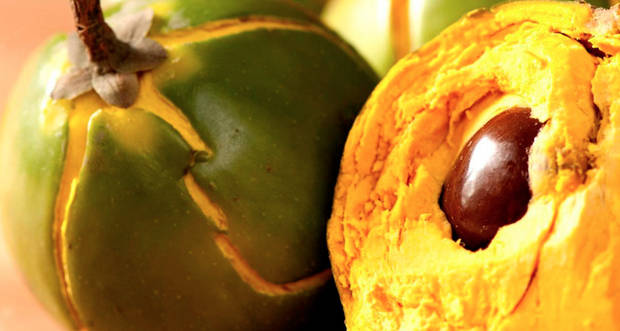 azucar-blanco-enemigo-alimentacion_Lucuma - vanidad - 7