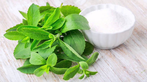 azucar-blanco-enemigo-alimentacion_stevia - vanidad - 3