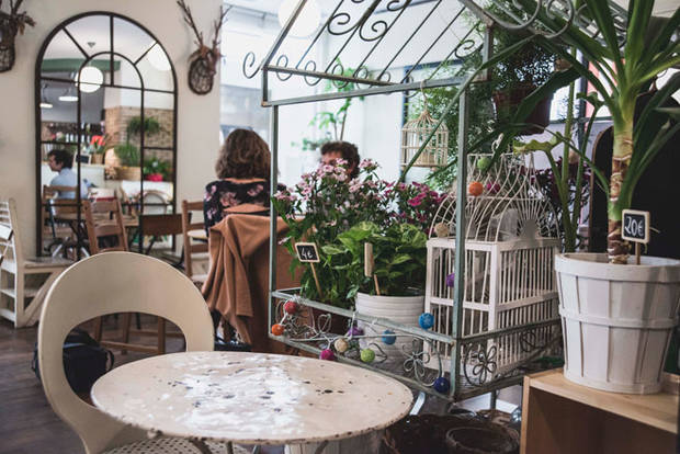 Cafe-Botanico-02_buena