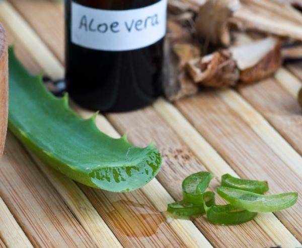 cejas aloe vera
