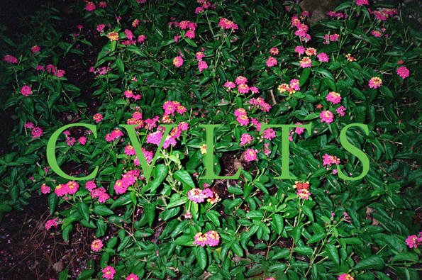 cvlts_flwrs