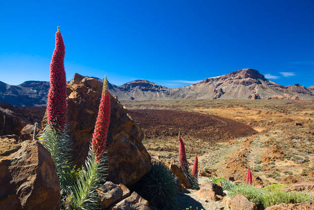 parques-naturales-teide