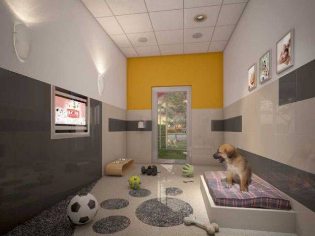 Perro hotel