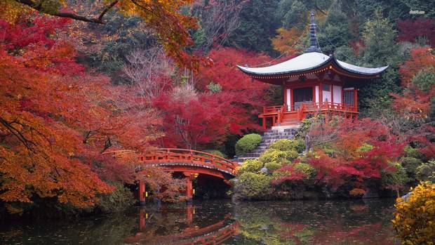 escapada_kioto_japon-5