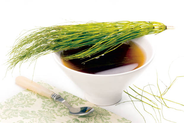 healthy-food-cola-de-caballo
