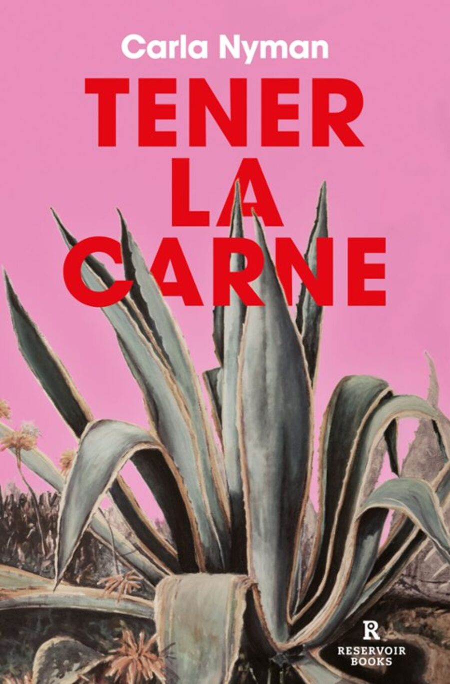 Libros para las tardes de lluvia de otoño