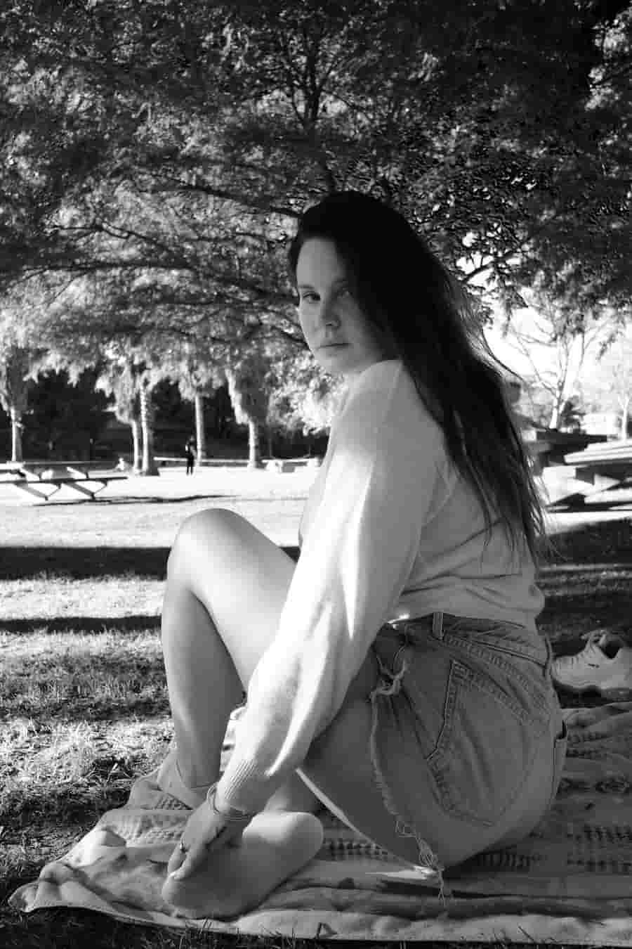 Primavera Sound 2024 Lana del Rey