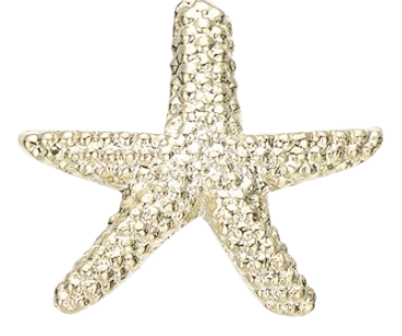 Pendiente de estrella de mar de oro de Apodemia.