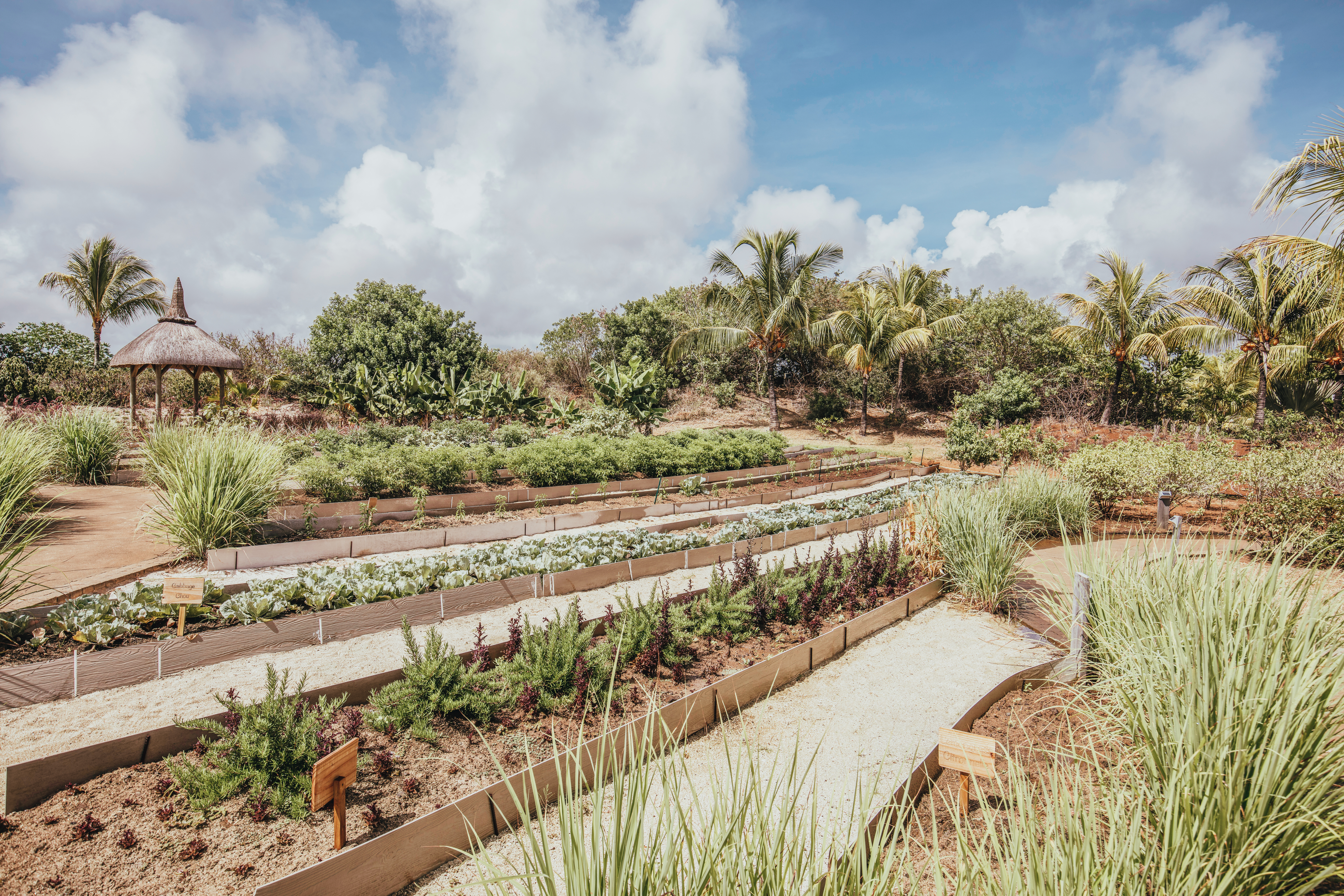 Chef Garden en Long Beach