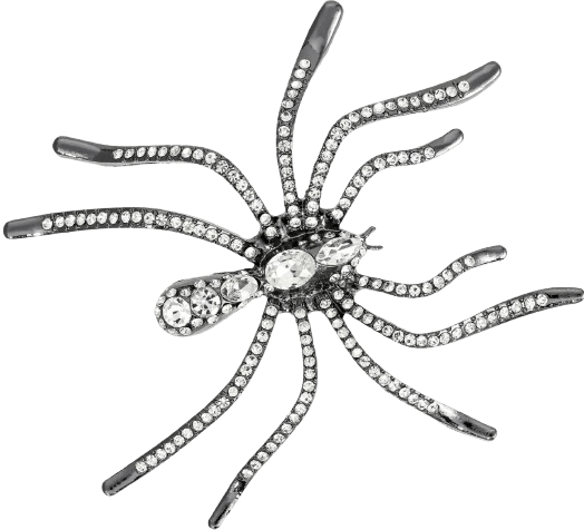 Broche en forma de araña de Bijou Brigitte.