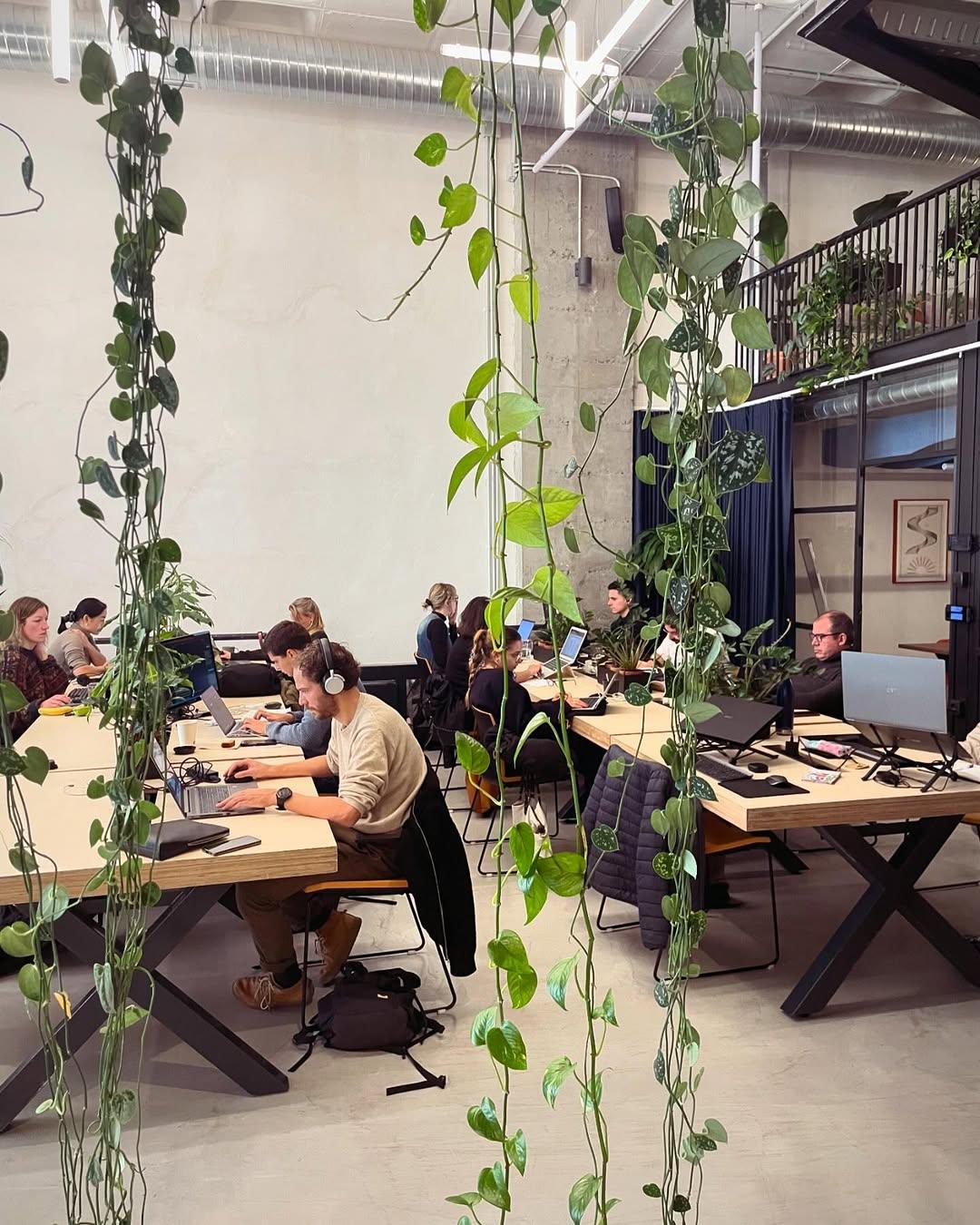 Area- Coworking en Mamdrid