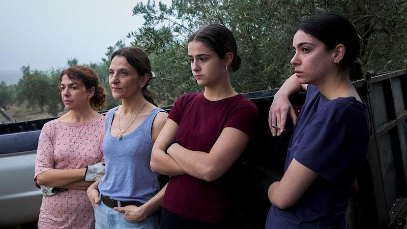«Los Tortuga», Belén Funes 2025)