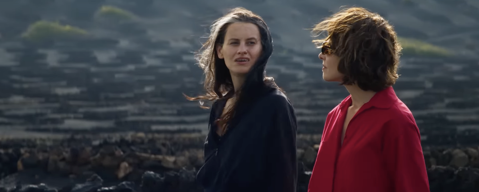 Todo lo que debes saber sobre las películas favoritas del Festival de Cannes. Imagen: fotograma de «Amarga Navidad»