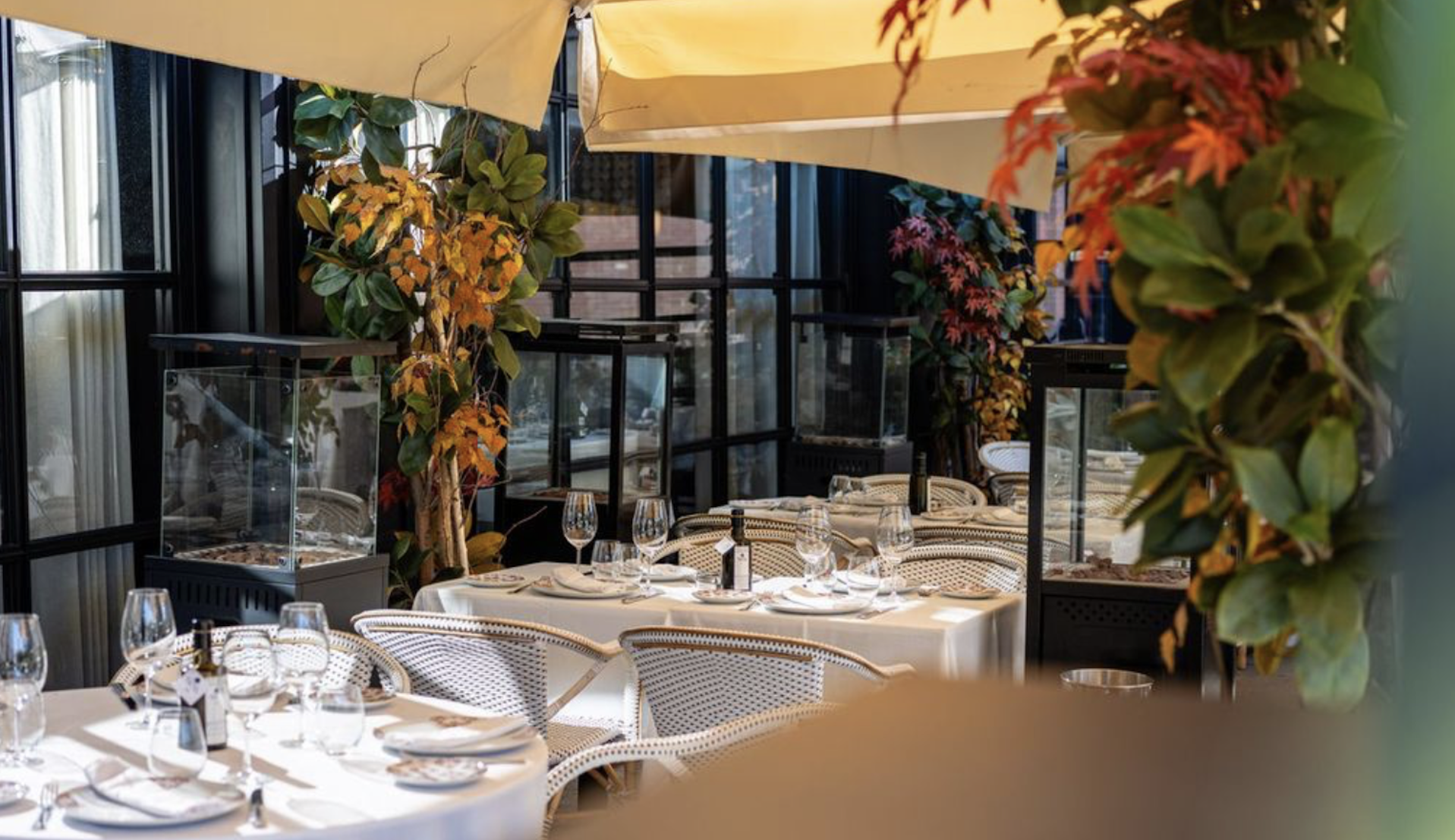 Los mejores restaurantes para disfrutar este verano en Madrid. Imagen: cortesía de TATEL Madrid