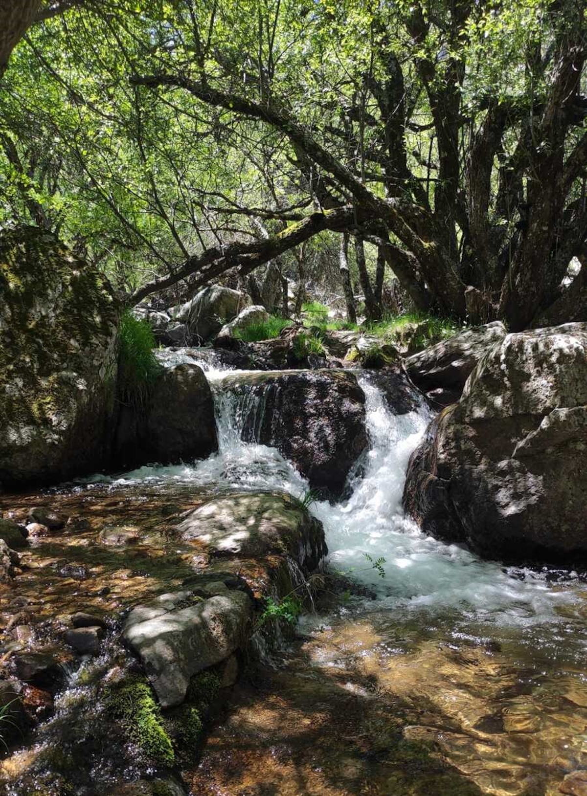 Paisaje natural en la ruta de la Cascada del Purgatorio. Imagen propia