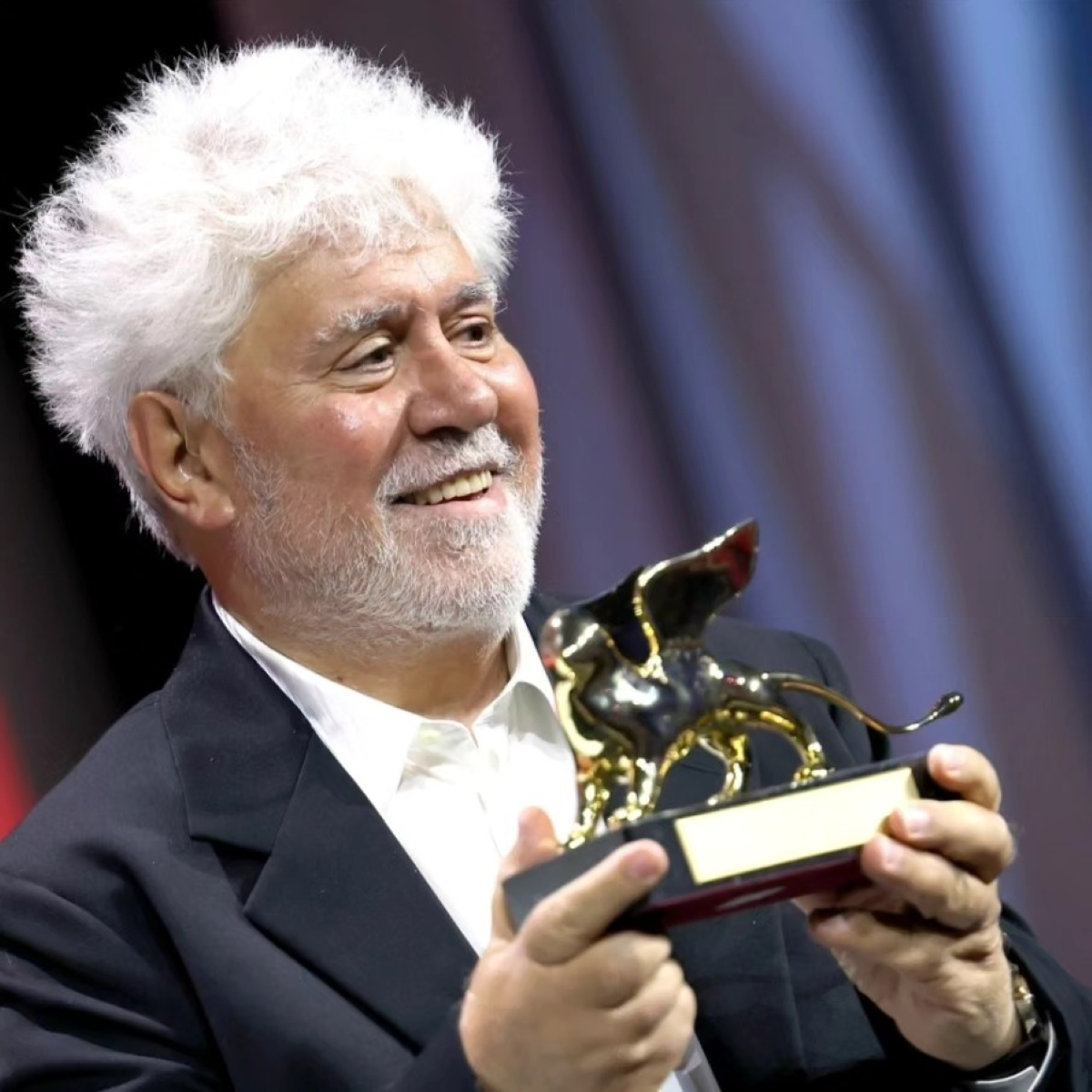 Almodóvar recibe el primer premio de oro en el Festival de Cine de Venecia 2024, un festival de clase A