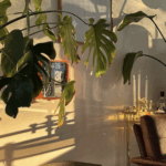Las plantas con las que querrás decorar tu casa este otoño. Imagen: @aplacebeyondthenines