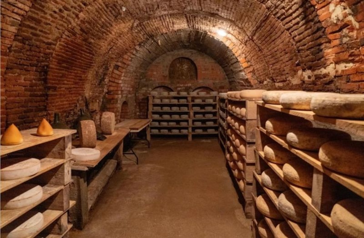 En Campoveja, en Serrada (Valladolid), la visita permite conocer de cerca cómo se elaboran y maduran sus quesos antes de terminar con una degustación de algunas de sus variedades. Una de las fábricas que se pueden visitar en España